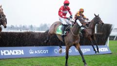 Ascot Terresita 